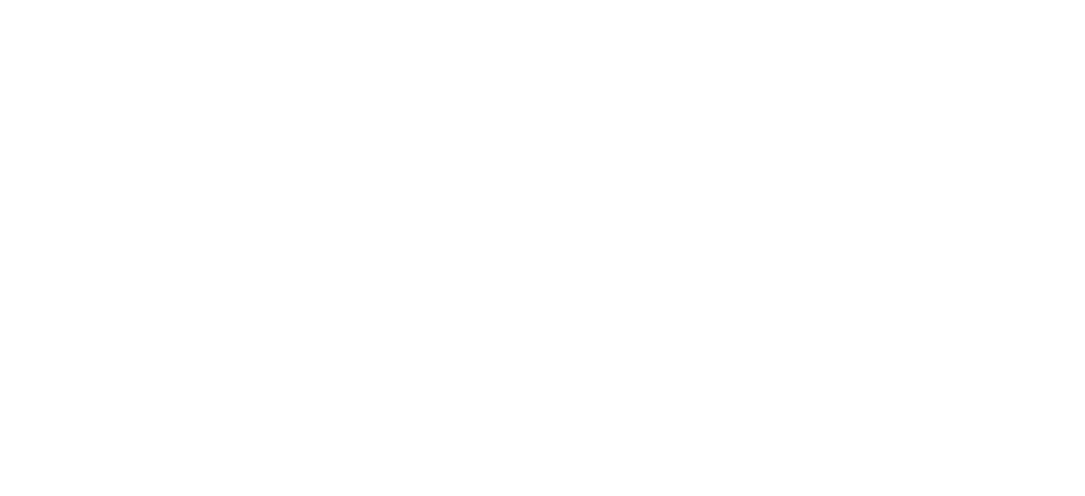Delpoint